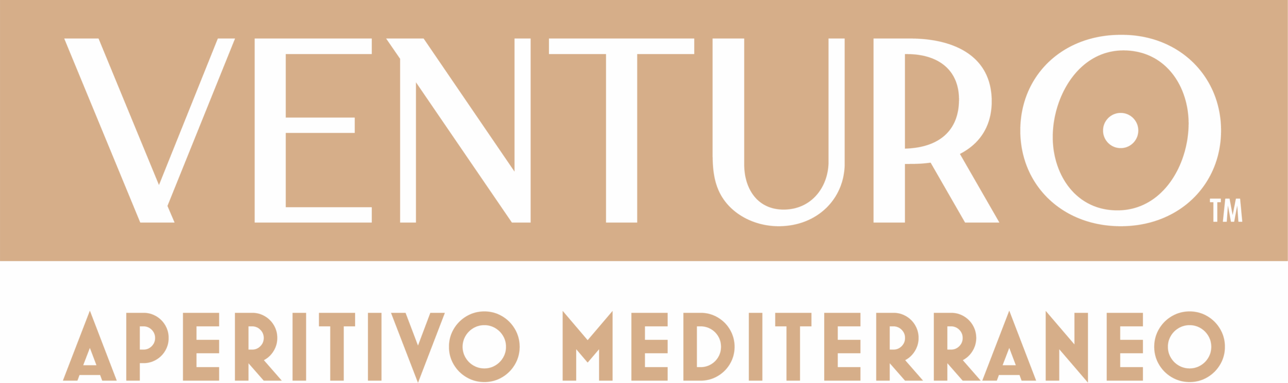 venturo-logo