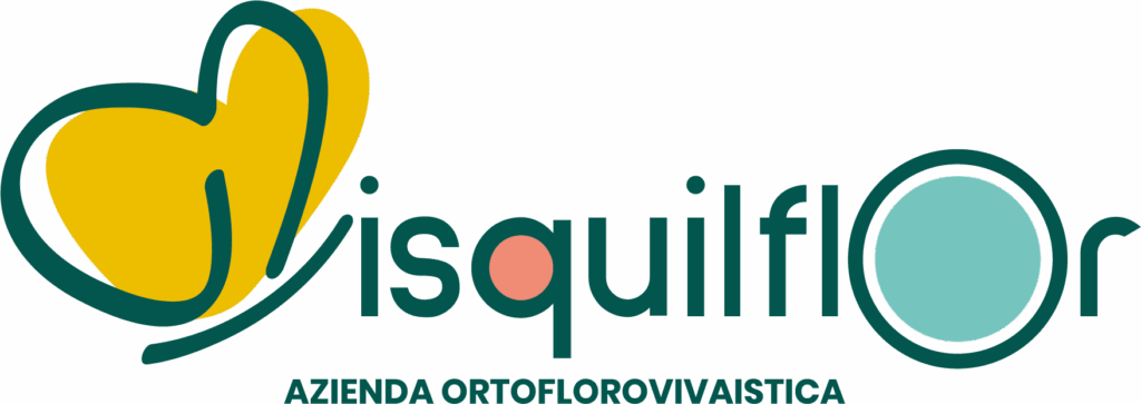 misquiflor logo